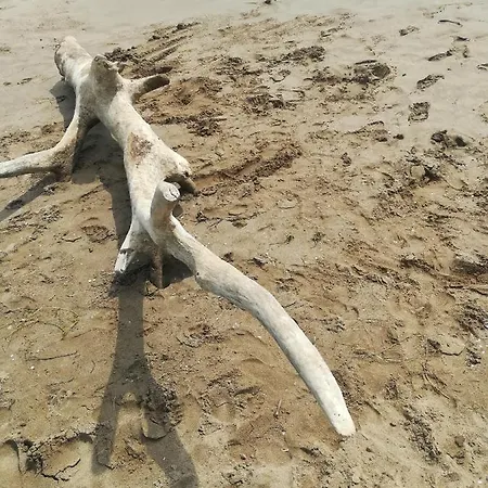 Cal Cabironet Prázdninový dům